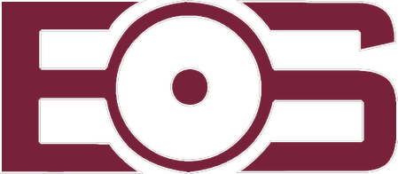 Empowering Organisation Strategy Empowering Organisation Strategy
