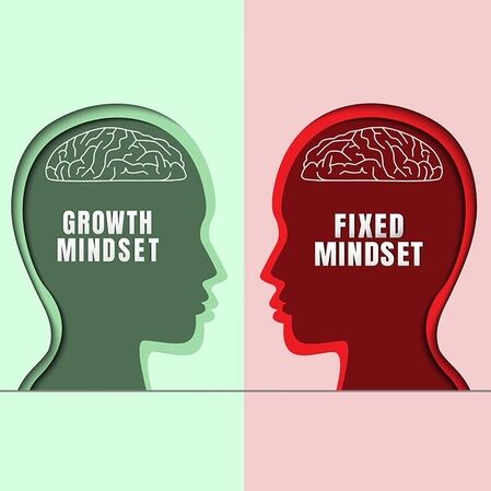 Growth Mindset e consapevolezza di ruolo: il consulente come protagonista della sostenibilità Growth Mindset e consapevolezza di ruolo: il consulente come protagonista della sostenibilità