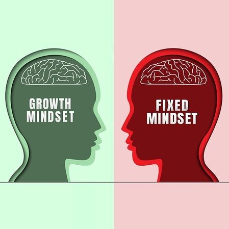 Growth Mindset e consapevolezza di ruolo: il consulente come protagonista della sostenibilità 